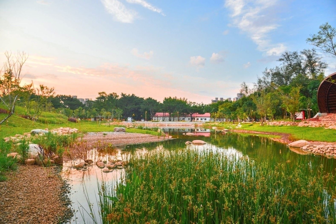 八德區大湳森林公園：城市裡的生態方舟。由舊營區華麗轉身的「都市綠肺」，保留了珍貴的生態棲地與上千棵老樹。園內設有林間冒險區，讓孩子在不過度開發的自然環境中觀察生態，是追求「森林浴」與環境教育的首選地標。